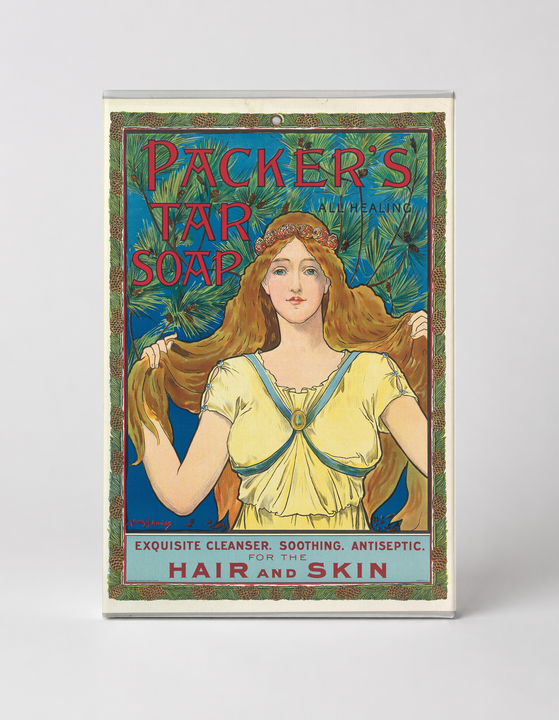 Packer's Tar Soap 1890s - Art Nouveau Vintage Advertising Poster Wall Art