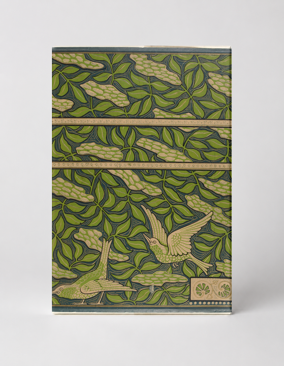 Birds in Foliage Art Nouveau - Vintage Botanical Lithograph Canvas Wall Art