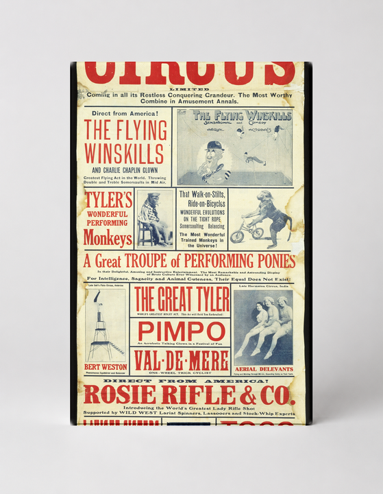 Pedro Bros Circus 1900s - Vintage Circus Advertising Poster Wall Art