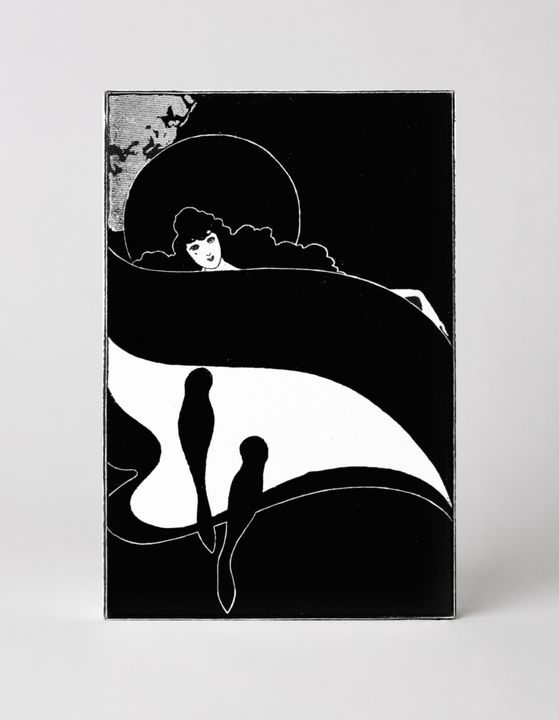 Woman with Flowing Cape and Birds 1890s - Art Nouveau Vintage Poster Wall Art