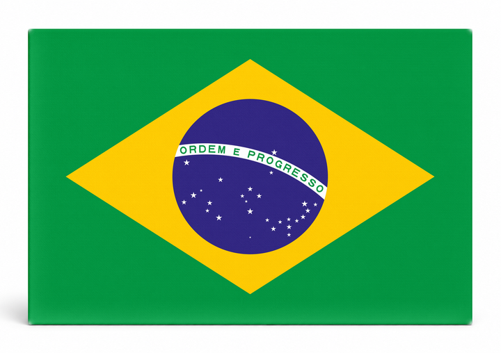 Brazil Flag