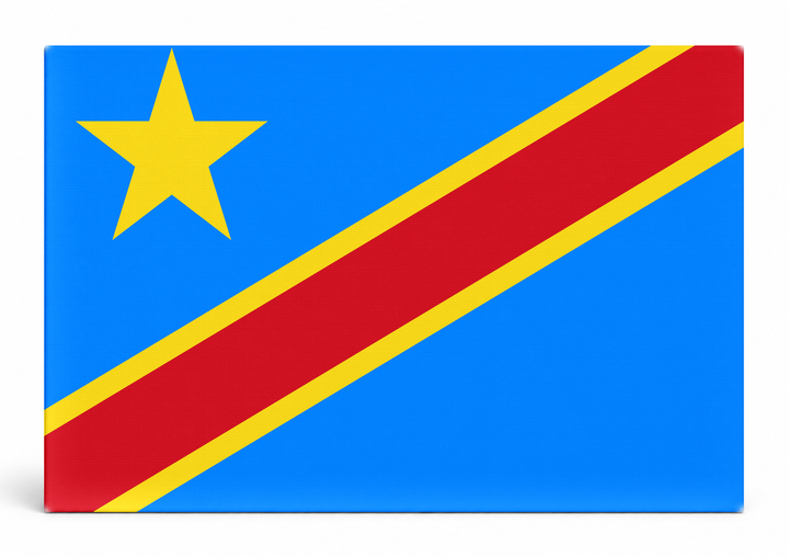Democratic Republic of the Congo Flag