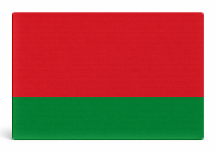 Belarus Flag
