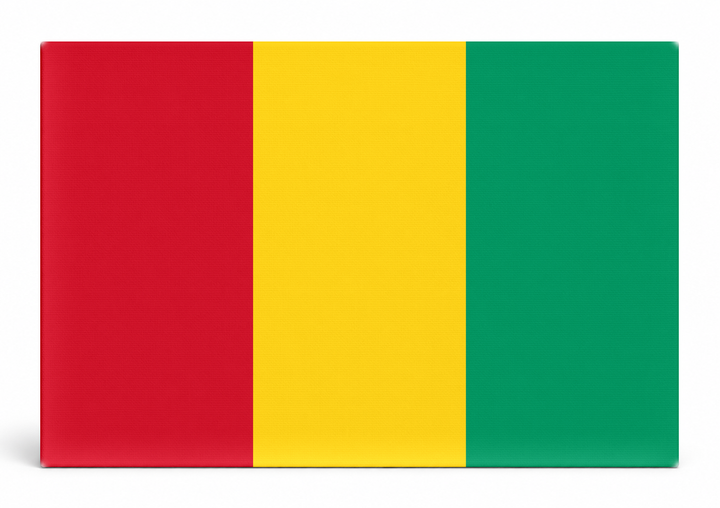 Guinea Flag