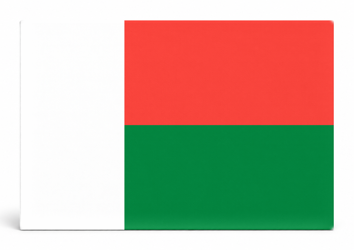 Madagascar Flag