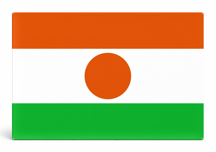 Niger Flag