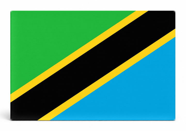 Tanzania Flag