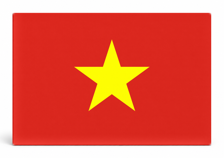 Vietnam Flag