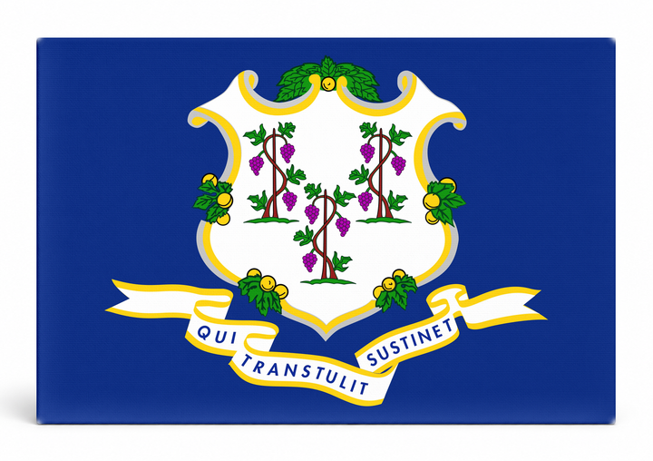 Connecticut State Flag