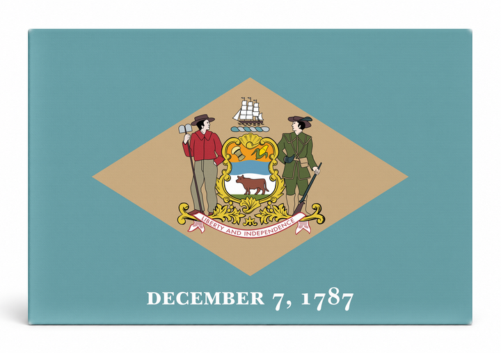 Delaware State Flag