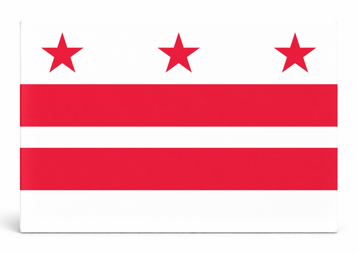 Washington D.C. Flag