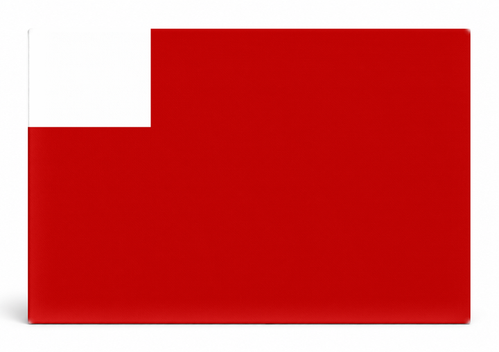 Abu Dhabi City Flag
