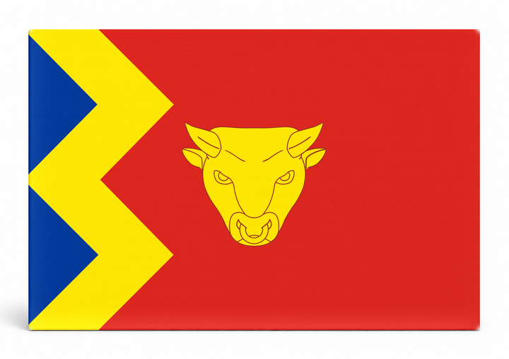 Birmingham City Flag