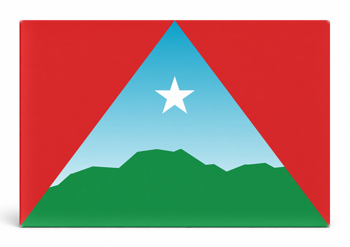 Caracas City Flag
