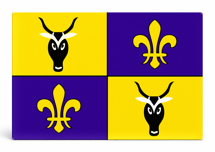 Antananarivo City Flag
