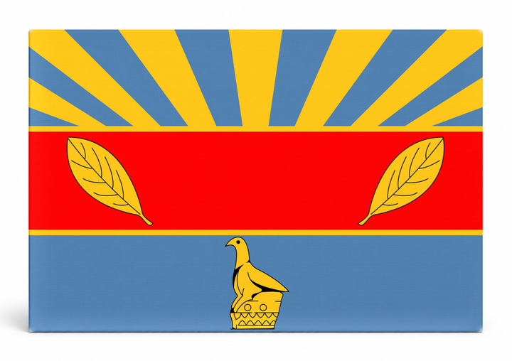 Harare City Flag
