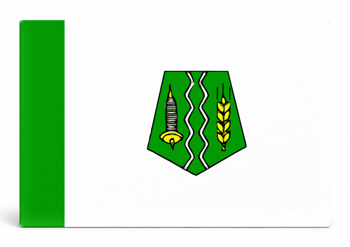 Fez City Flag