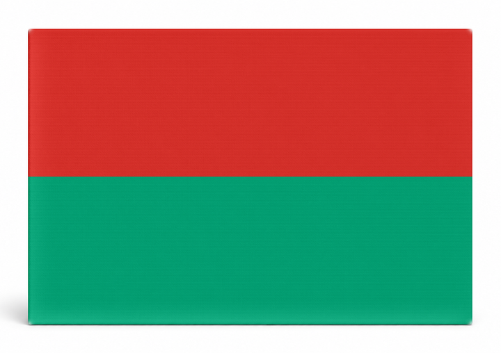 La Paz City Flag