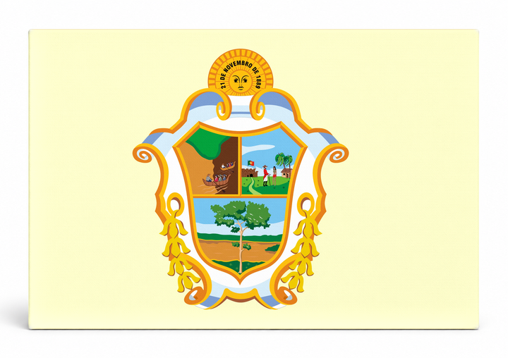 Manaus City Flag