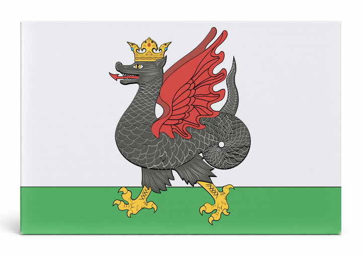 Kazan City Flag