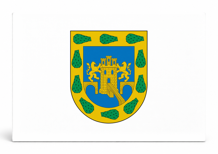 Mexico City City Flag