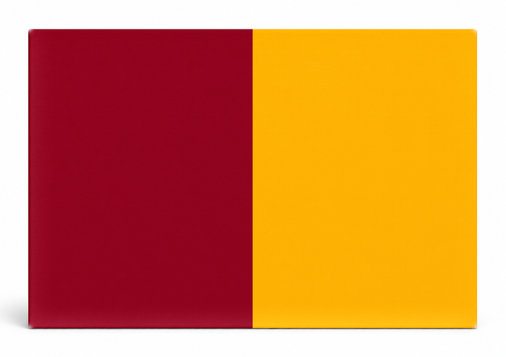 Rome City Flag