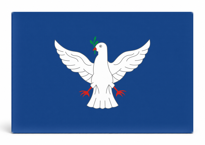 Salvador City Flag