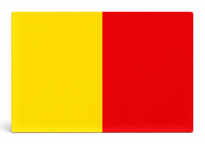 Naples City Flag