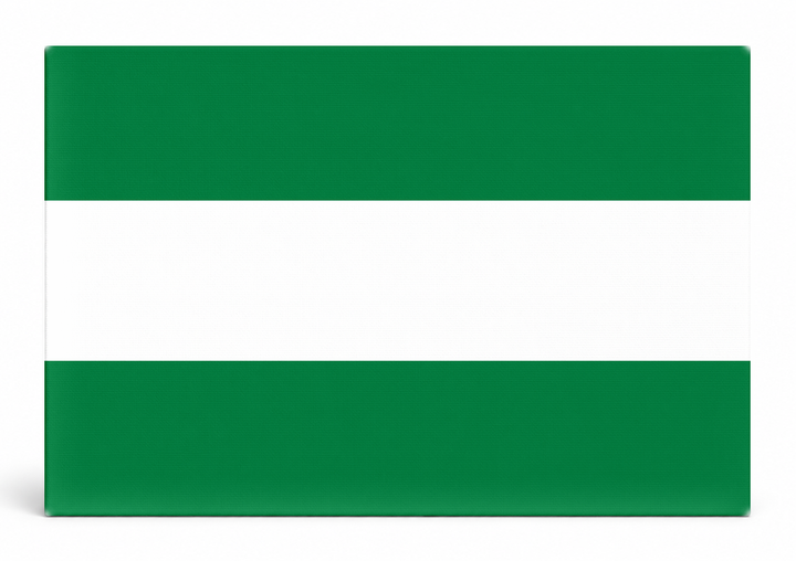Santa Cruz de la Sierra City Flag