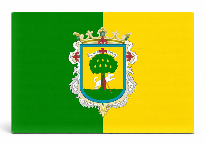 Zapopan City Flag
