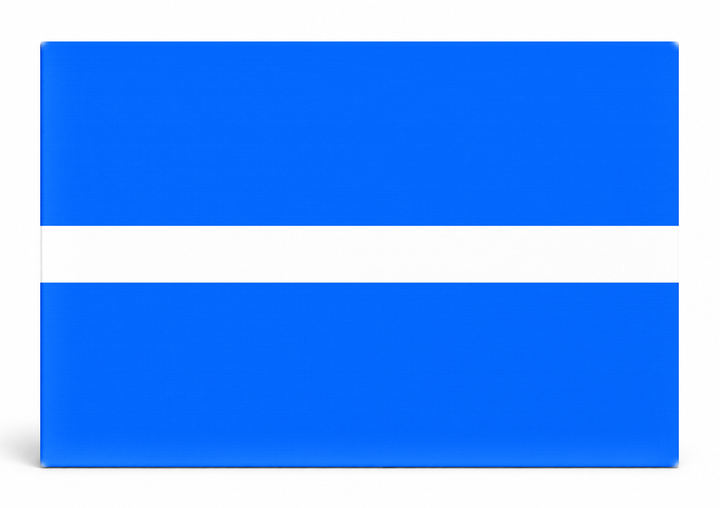 Thin White Line Flag