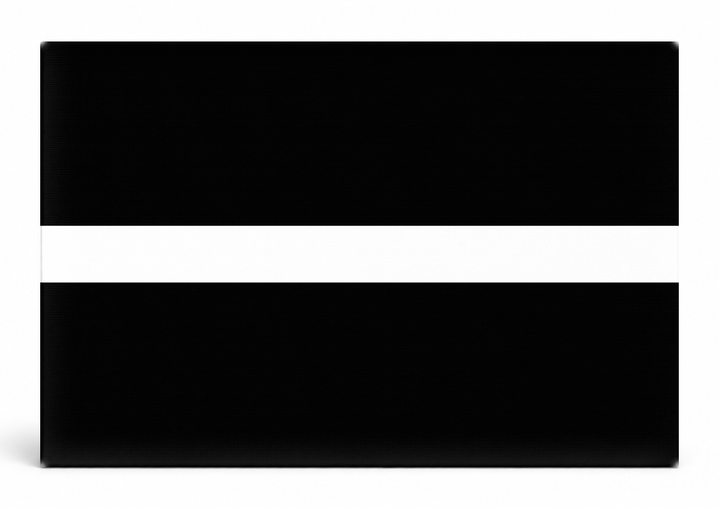 Thin White Line Flag (Black Field)