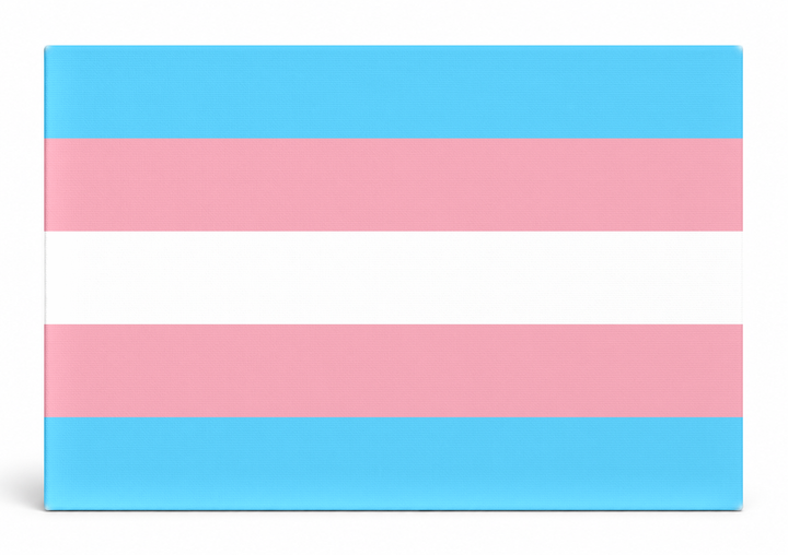 Transgender Pride Flag