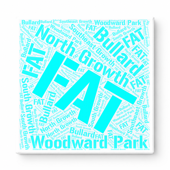 Fresno Neighborhoods Word Art — Cyan