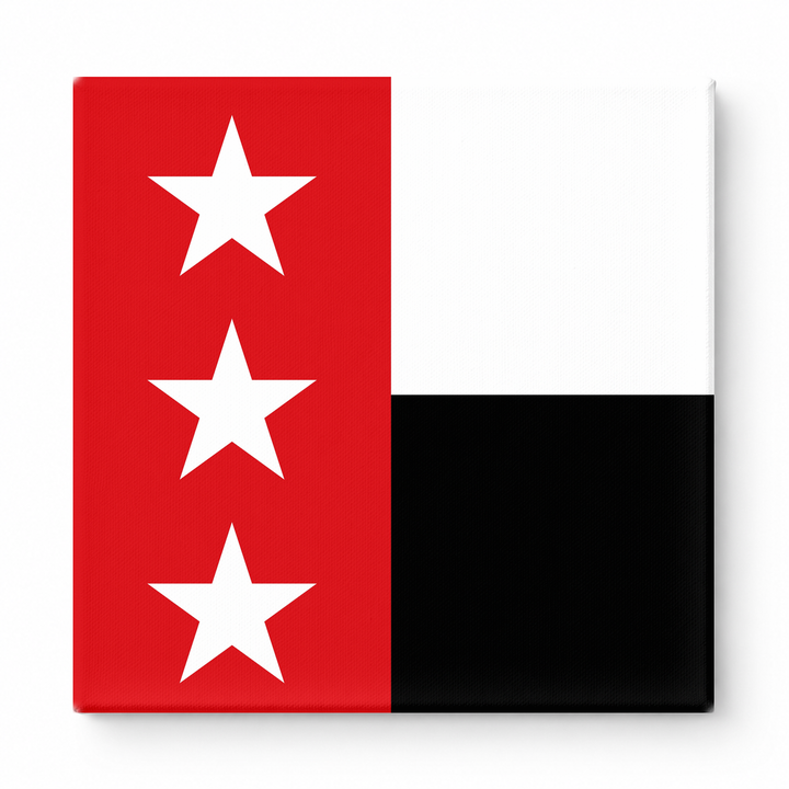 Laredo City Flag