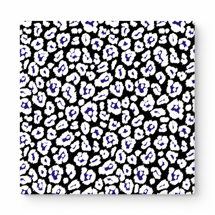 Black & White Leopard — National Football Teams