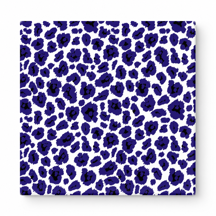 Navy & White Leopard — National Football Teams