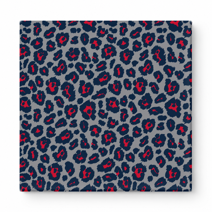 Gray & Navy Leopard — National Football Teams