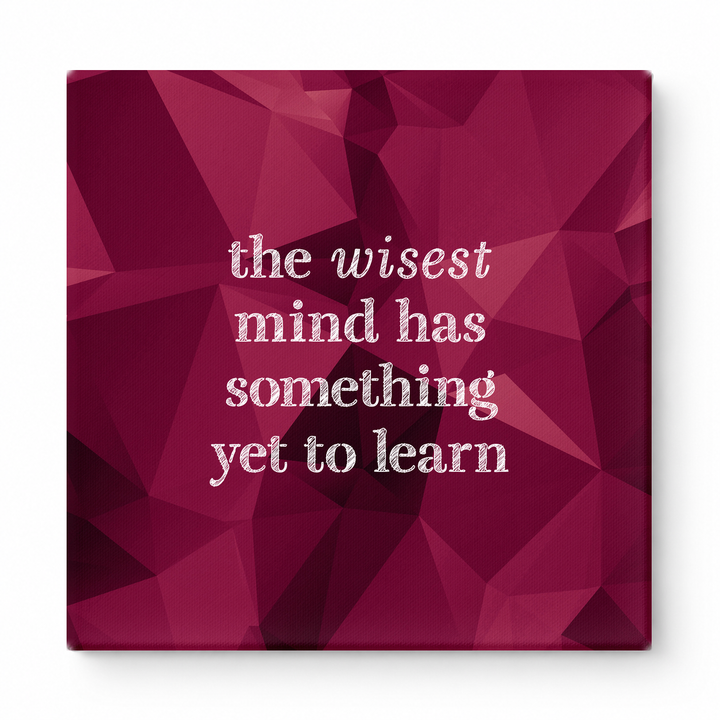 The Wisest Mind Has Something Yet to Learn — Geometric Polygon Facets