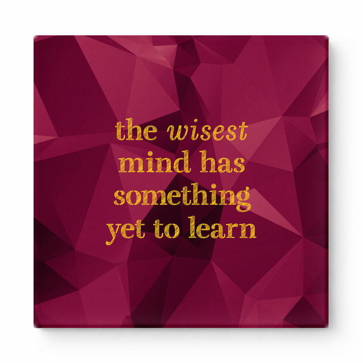 The Wisest Mind Has Something Yet to Learn — Geometric Polygon Facets
