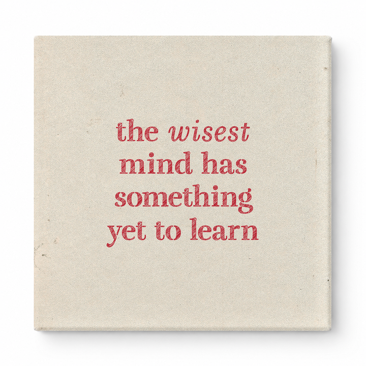 The Wisest Mind Has Something Yet to Learn — Geometric Polygon Facets