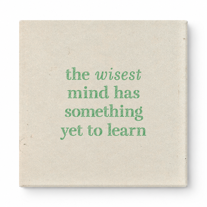 The Wisest Mind Has Something Yet to Learn — Geometric Polygon Facets