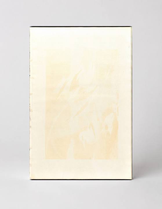 Whooping Crane (1834)