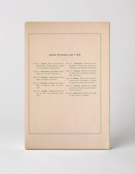 Kunstformen der Natur – Table of Contents, 9th Heft (1904)