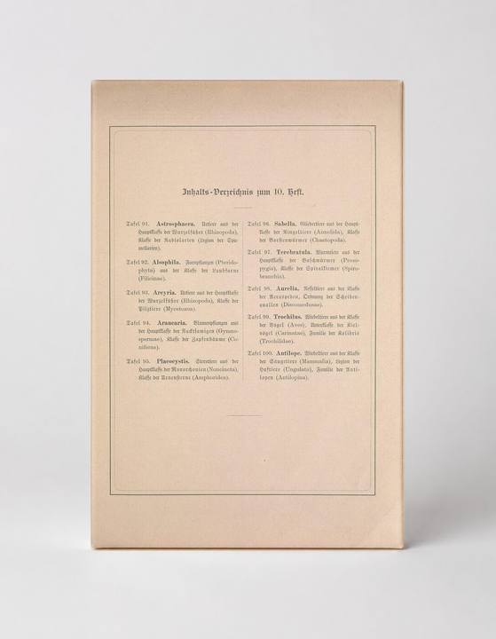Kunstformen der Natur — Table of Contents, Heft 10