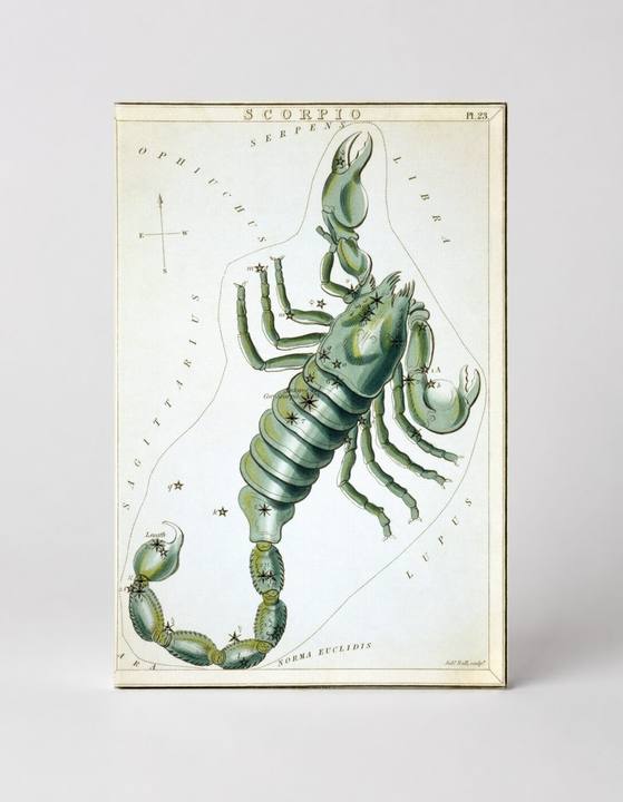 Scorpio — Urania's Mirror (1825)