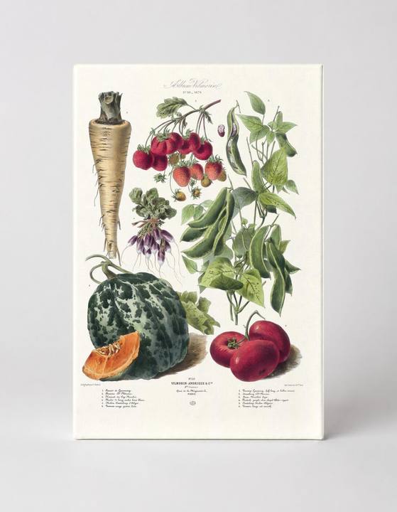 Vilmorin Vegetable Plate