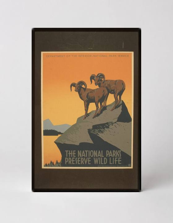 The National Parks Preserve Wild Life (c. 1938)