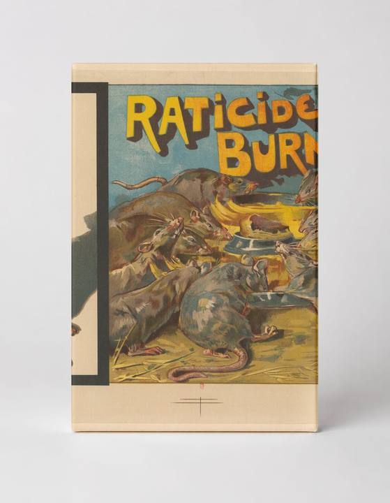 Raticide Burnichon 1890s Vintage French Rat Poison Advertising Poster Canvas