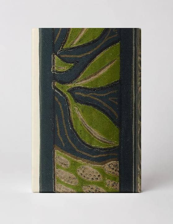 Les Maîtres de l'Affiche 1896 - Art Nouveau Book Spine Vintage Poster Wall Art